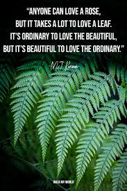 Check spelling or type a new query. 40 Inspirational Leaf Quotes For Nature Lovers Walk My World