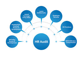 Hr Audits Compliance Consultants Liquid Hr Services Sydney Melbourne Brisba Performance Appraisal Workers Compensation Insurance High Potential Employees