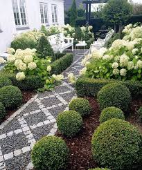 Pin On Hydrangea Garden