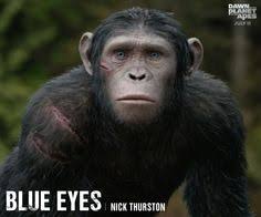 Um klarheit zu bekommen, begibt er sich zusammen mit seinen engsten vertrauten. 110 Dawn Of The Planet Of The Apes Ideas Dawn Of The Planet Planet Of The Apes Apes