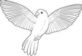 Bird In Flight Stencils Free Printable Bing Images Flying Bird Drawing Bird Sketch Bird Drawings