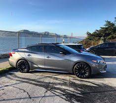 880 Erins Interests Ideas Erin Donut Themed Birthday Party Horse Art Drawing