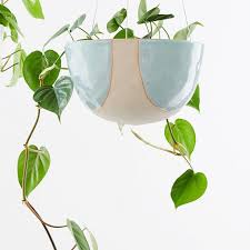 Our Heart Leaf Philodendron Has Stolen Our Heart Look At Those Beautiful Glossy Leaves Heart Leaf Philodendron Philodendron Hanging Planters