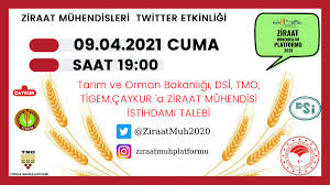 May 21, 2021 · mersin'de kilosu 7 tl'den alıcı bulan gölevez, üreticisine dönümde 50 bin tl'ye kadar kazanç sağlıyor. Atama Bekleyen Ziraat Muhendisleri Ziraatmh Atama Twitter
