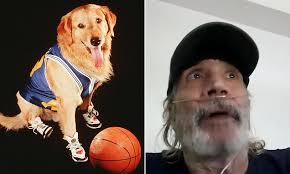 Air Bud's Kevin DiCicco says he's homeless and dealing with major health  problems