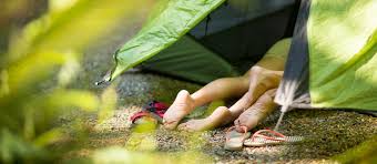 Camping Explore Hood Canal There is an 8 person and. camping explore hood canal