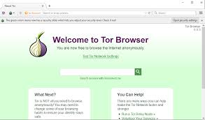 Run the tor browser setup. Tor Browser For Windows Online Anonymity And Censorship Circumvention