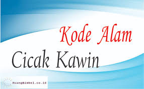 Saya telah membaca buku dari ave maria ke jalan lain ke roma. Kode Alam Hari Ini