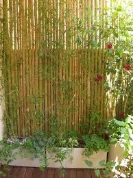 14 Unbelievable Garden Landscaping Kildare Ideas In 2020 Backyard Garden Design Small Backyard Gardens Backyard Garden