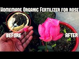 organic fertilizer free of cost