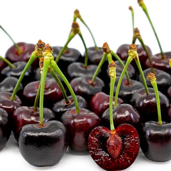 نهال گیلاس تک‌دانه مشهد