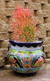 Euphorbia Firestick In A Talavera Pot Talavera Pottery Mexican Garden Plants