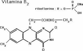 Vitamins Study Material For Iit Jee Askiitians