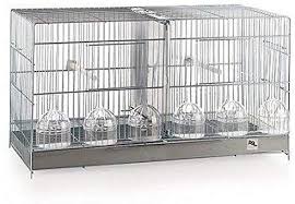 Jaula De Cria Rsl 60 Cm Amazon Es Jardin Jaulas Crias Periquitos