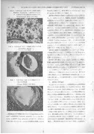 昭和35年5月1日