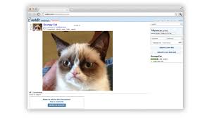 Now, cat lawyer memes are flooding twitter. The Story Of The Internet As Told By Know Your Meme The Verge