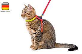 kedi bel tasmasi 120cm kayisli gokkusagi desenli kerbl