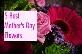 Check spelling or type a new query. 5 Best Flowers For Mother S Day Send Flowers Worldwide
