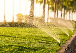 The Best Uk Garden Ideas Products Buyers Guides