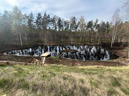 Image result for site:byggahus.se damm