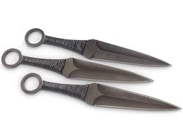 Ninja memiliki senjata dalam berbagai jenis, bentuk, dan ukuran. Foto Pisau Untuk Serang Wiranto Mirip Senjata Ninja