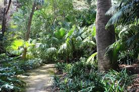 Check spelling or type a new query. Green Palm Trees And Tropical Plants And Flowers Tropical Tree Background Stock Photo Picture And Royalty Free Image Image 73832581