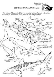 Australian shark coloring page from australia category. Shark Coloring Pages Coloring Rocks