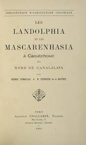 Image result for Mascarenhasia