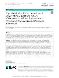 Image result for Antrophyum mannianum