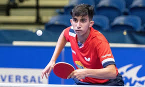 The table tennis official rules are specified in the ittf handbook. Xvijzzrhiwzsvm