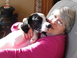 Happy birthday dear 🎂🎂🎈🎈🎊🎊