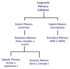 Human Memory The Process To Acquire Store Retain Long Term