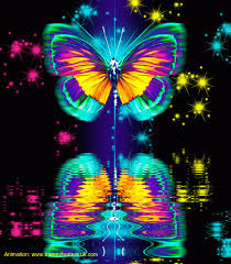 Check spelling or type a new query. Colourful Butterfly Butterflies Fan Art 40842399 Fanpop Butterfly Gif Butterfly Art Butterfly Wallpaper