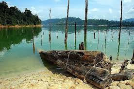 Taman negeri royal belum dipercayai telah wujud selama lebih dari 130 juta tahun, menjadikannya salah satu hutan hujan tertua di dunia, lebih tua dari hutan hujan amazon dan hutan hujan kongo. Pin On Malaysia Truly Asia