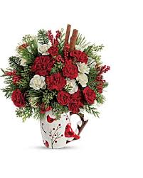 Maybe you would like to learn more about one of these? Send A Hug Christmas Cardinal By Teleflora In Clearwater Fl Maria S Flowers