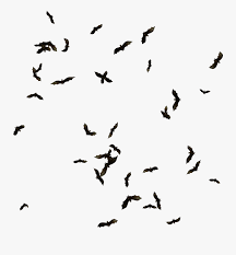 Swarm Of Bats Png Clipart Png Download Swarm Of Bats Png Free Transparent Clipart Clipartkey How to use the background eraser tool photoshop tutorial. swarm of bats png clipart png