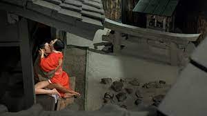 The film was released under in the realm of the senses in the u.s. Janus Films In The Realm Of The Senses