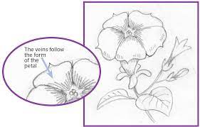 Art Thief: Draw A Petunia