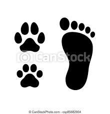 Maybe you would like to learn more about one of these? Human Foot With Dog And Cat Paw Print Symbol Simple Cartoon Silhouette Icon Set Logo Design Elements Black And White Canstock