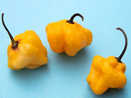 Check spelling or type a new query. How To Make Fermented Hot Sauce