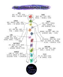 The 12 Paths Of Healing An Introduction To The Astroherbology Series Worts Cunning Apothecary Intersectional Herbalism Magickal Arts Medical Astrology Astrology Shamanic Healing
