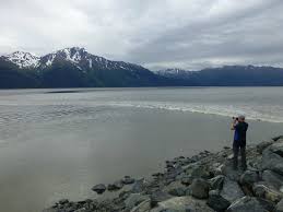 Bore Tide In Turnagain Arm Girdwood 2019 All You Need To