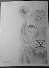 Download this image for free in hd resolution the choice download button below. Realistic Pencil Drawing Of A Tiger Bleistift Zeichnen Tiere Tiger Realistisch Tiger Zeichnung Zeichnung Ideen Bleistift Zeichen Bleistift