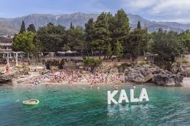 Breakfast at the beach is served at the bar/lounge offering beautiful sea views. A Retreat And Rave All In One Kala Festival 2019 Was A Party In Paradise Dummy Mag