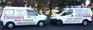 We did not find results for: Pest Management Hamilton Waikato Bay Of Plenty Coromandel