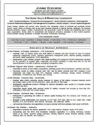 Software Sales Executive Software Sales Resume Examples Executive Resume