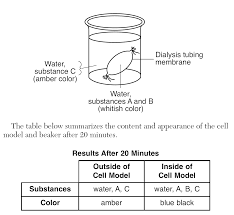 We did not find results for: Https Www Lyonscsd Org Site Handlers Filedownload Ashx Moduleinstanceid 259 Dataid 2243 Filename Cell 20test 20review 20ans Pdf