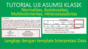 Konteks interpretasi pemahaman teoretis adalah konteks yang paling konseptual. Tutorial Uji Asumsi Klasik Full Lengkap Dengan Template Interpretasi Data Youtube