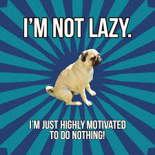 9 Funny Dog Memes And Templates Adobe Spark