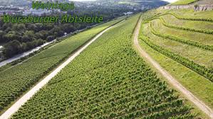 However, and this is where things get a little tricky, most vineyards also belong to a larger group of vineyards (großlage). Wurzburgs Weinberge Im Stadtgebiet Und Landkreis